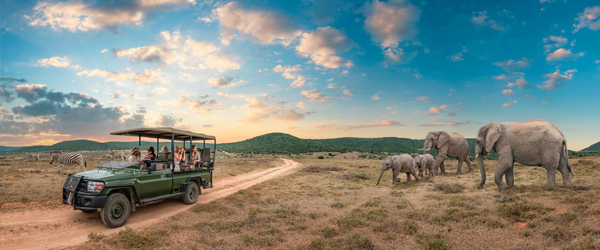 Nuestro Viaje Safari Express